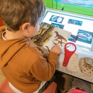 Five Easy Ways to Bring Science into Play with Children
