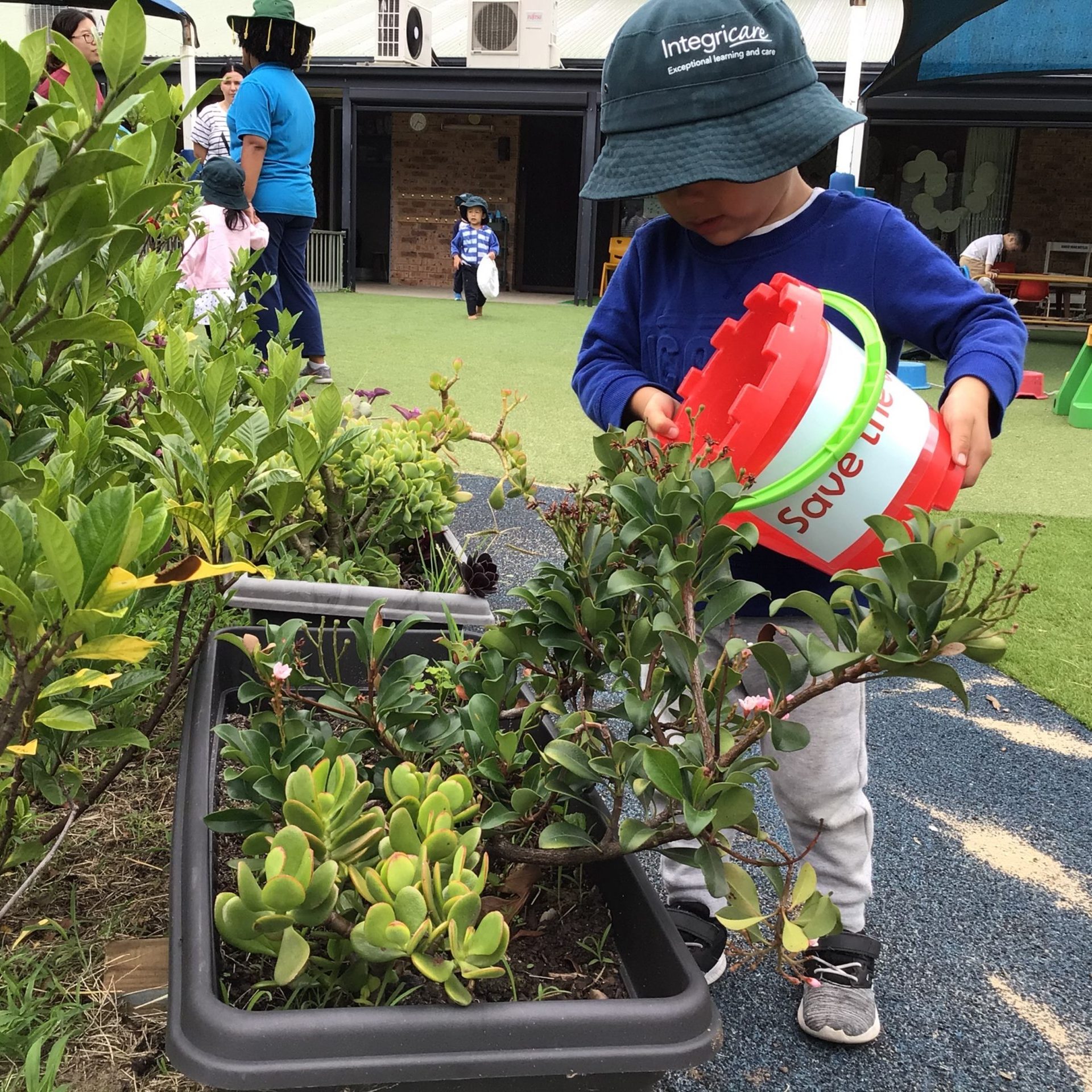 little boy watering plants